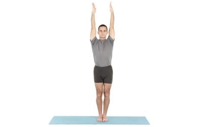 URDHVA HASTASANA