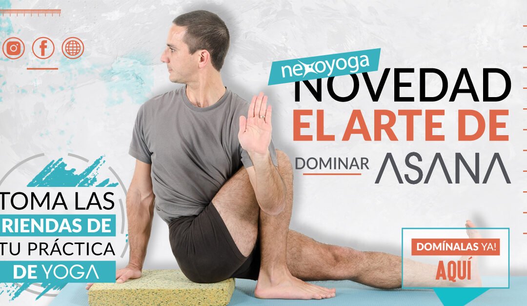 ¿Por qué es importante la Alineación en la Práctica de Yoga?