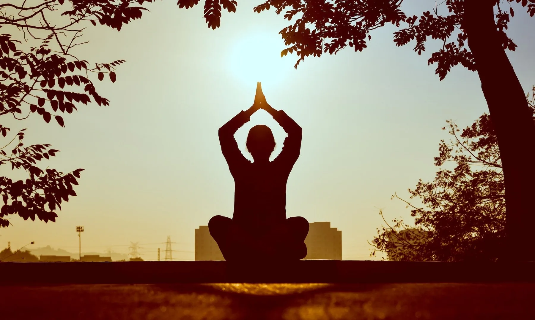 Instantes-de-bienestar-nexoyoga-min