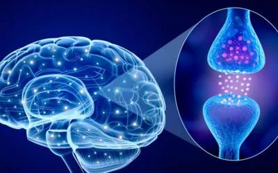 Dopamina y Bienestar. El Poder del Ejercicio Isométrico